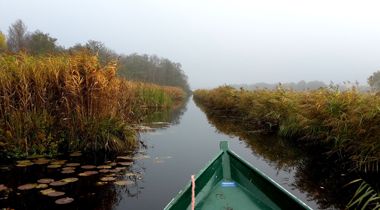 Een kano op een sloot tussen hoog en geel riet