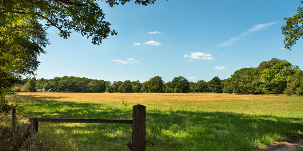 Landschap met gras en bomen en hek op voorgrond