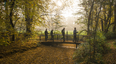 foto van mensen die op brug lopen over sloot door bos 