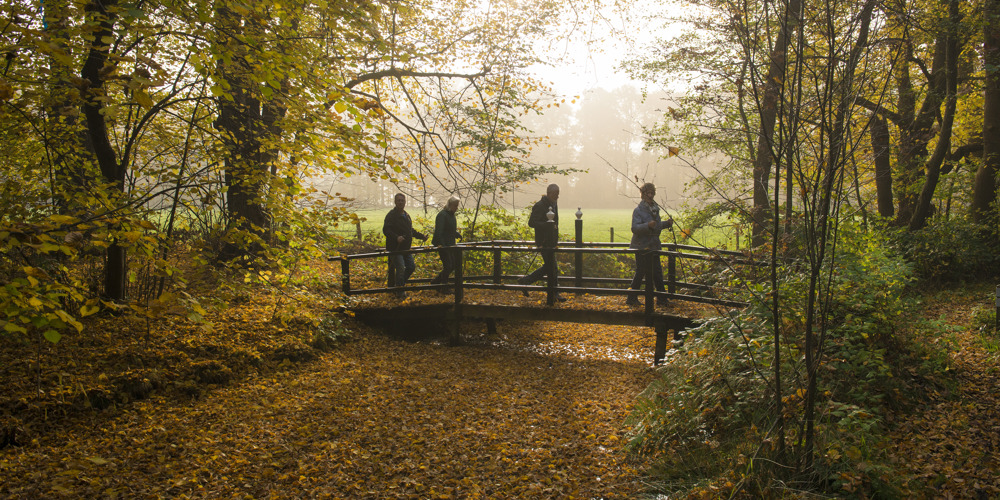 foto van mensen die op brug lopen over sloot door bos 