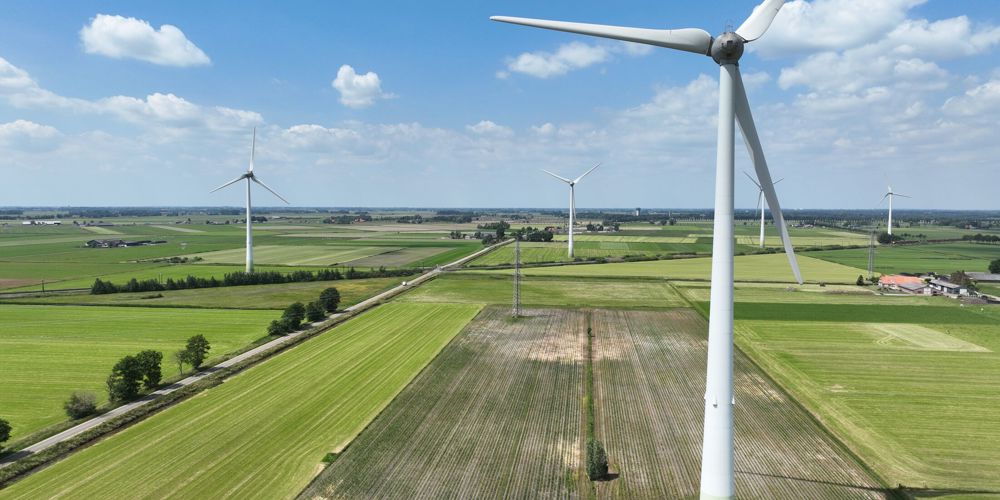 Weilanden met windmolens