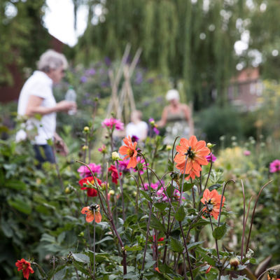 bloemen met hoge planten in tuin met op achtergrond drie mensen