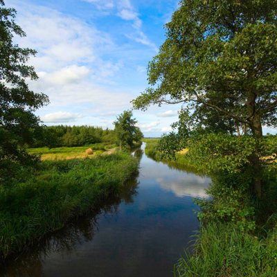 Sloot die kronkelt tussen weilanden met bomen