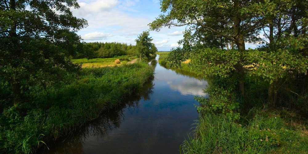 Sloot die kronkelt tussen weilanden met bomen