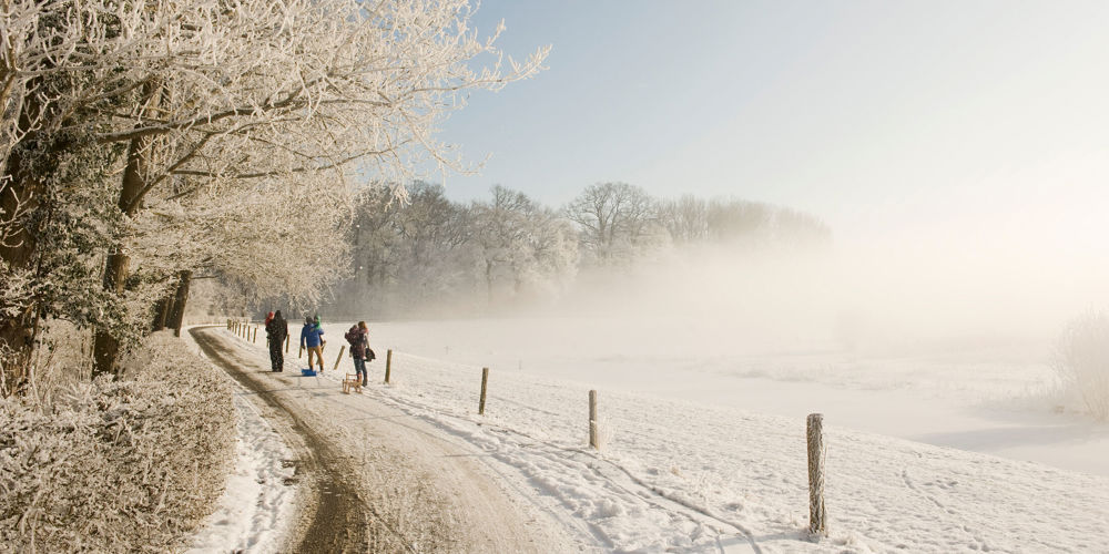 mensen die wandelen langs een weiland met schrikdraad langs bomen over een pad vol met sneeuw