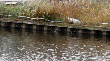 Kademuren in Zwartsluis