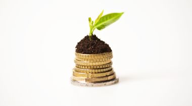 Munten met hoopje aarde met daarop groen plantje