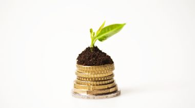 Munten met hoopje aarde met daarop groen plantje