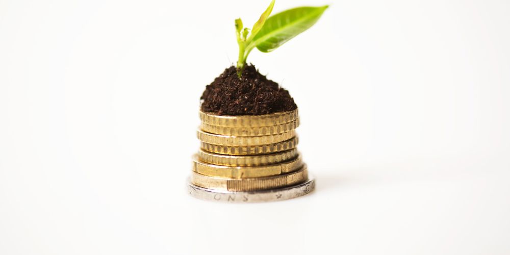 Munten met hoopje aarde met daarop groen plantje