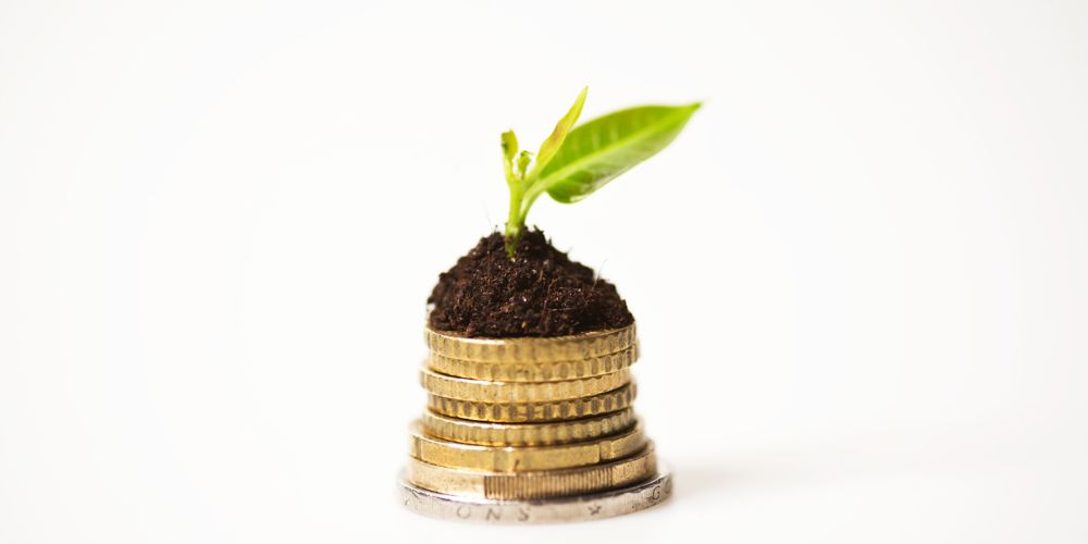 Munten met hoopje aarde met daarop groen plantje