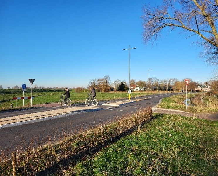 Foto heg bij kruising