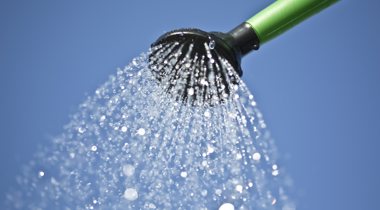 Kop van een gieter die water sproeit