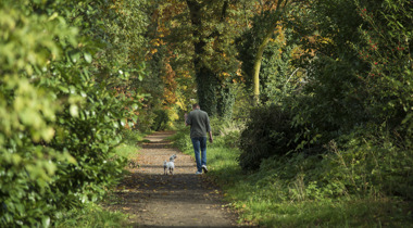 foto van iemand die hand uitlaat in het bos