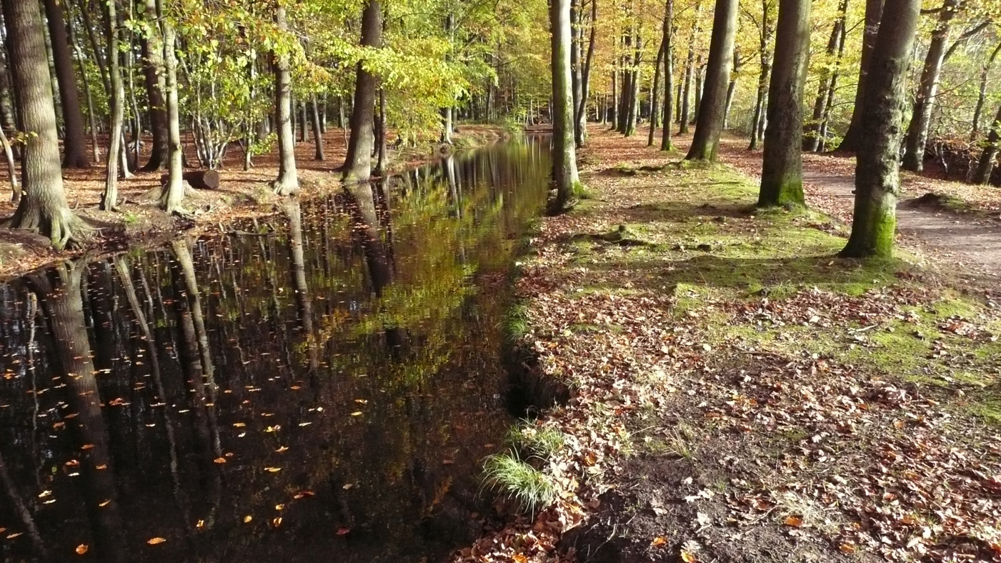 sloot langs bomen en zandpad