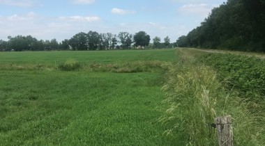 Weiland omringd met houtwallen