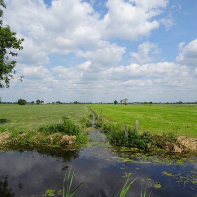 sloot tussen weilanden in 