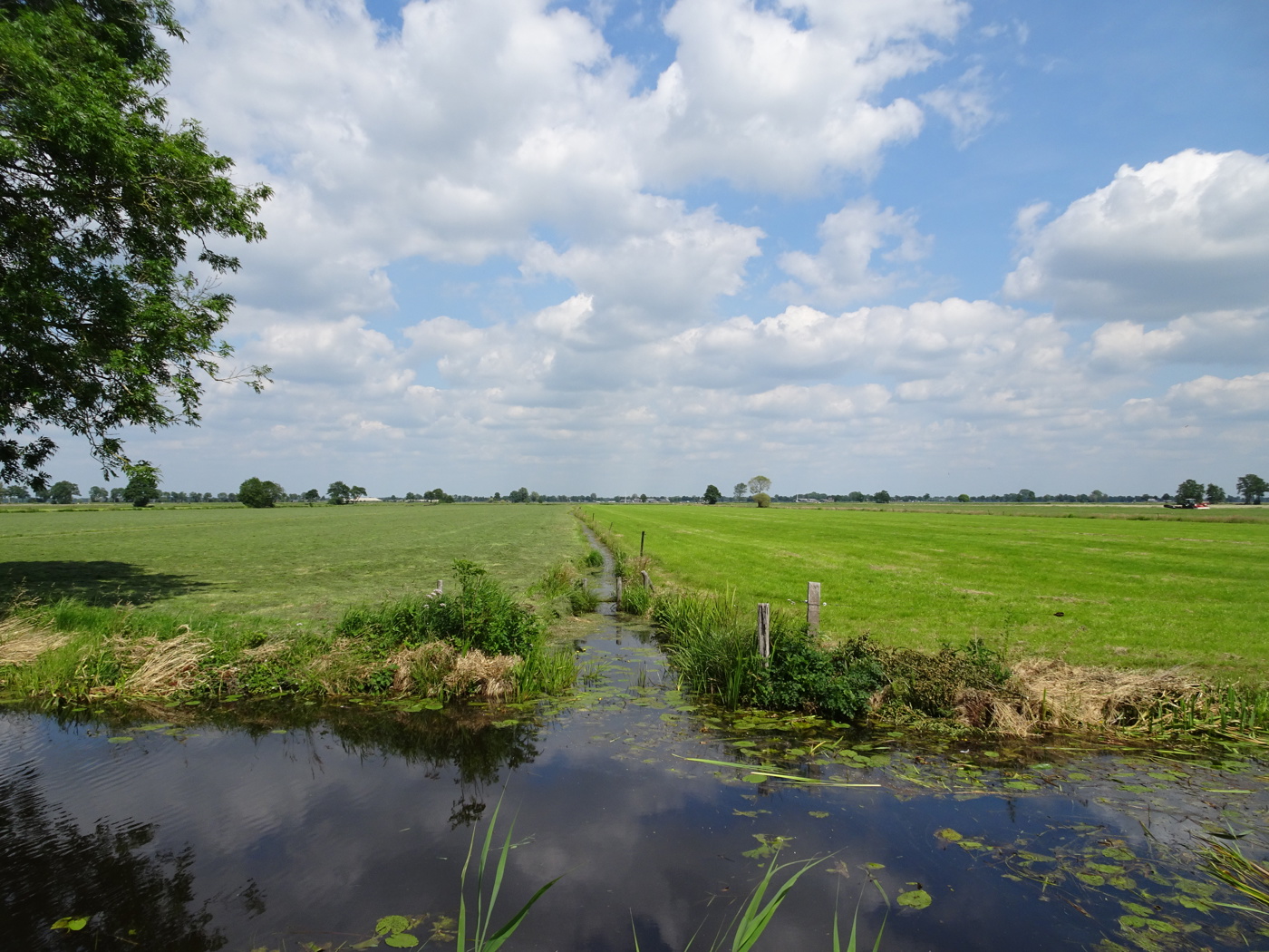 sloot tussen weilanden in 
