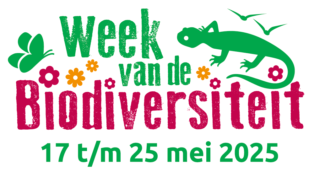 Tekst: Week van de Biodiversiteit 17 t/m 25 mei 2025, tekeningen van bloemen en een salamander