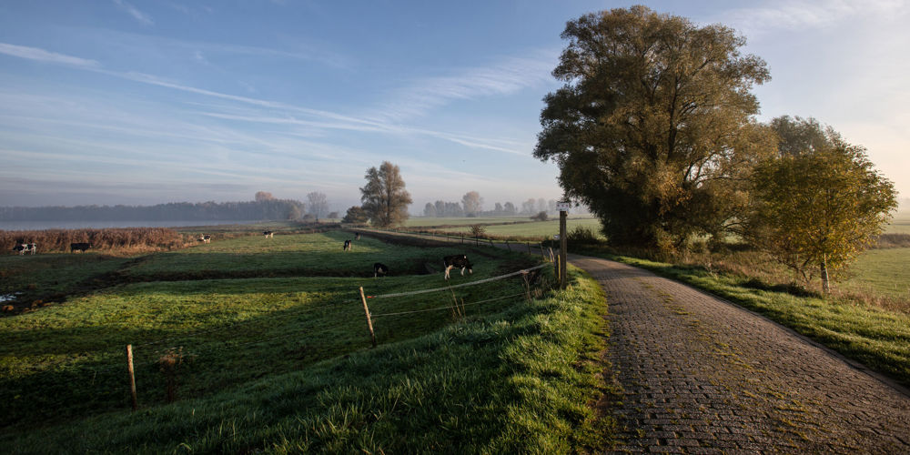 Dijkweg in de zon die loopt naar de horizon.