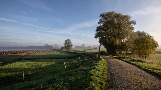 Dijkweg in de zon die loopt naar de horizon.