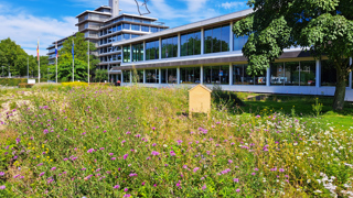 Landschapstuin provinciehuis in Zwolle