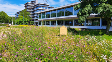 Landschapstuin provinciehuis in Zwolle