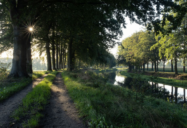 Schipbeek: bomen en zandpad langs kanaal, zon schijnt door de bomen | Fotograaf: Vincent Croce (via Marketing Oost)