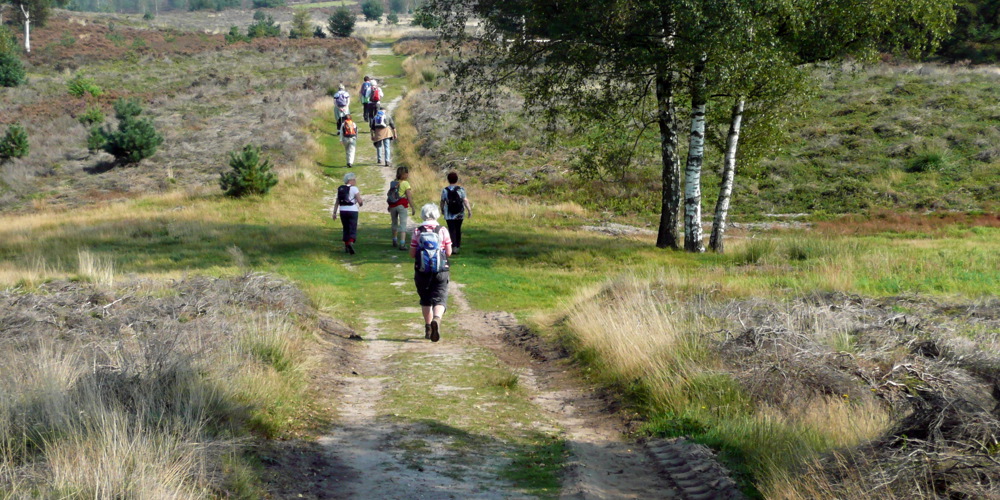 mensen lopen over natuurpad tussen landschap met bomen