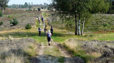 mensen lopen over natuurpad tussen landschap met bomen