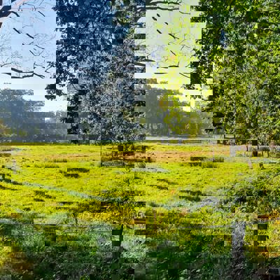 landschap met hek en schrikdraad  omringd door bomen