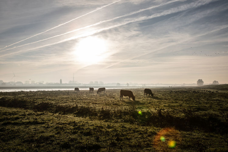 Visiebijeenkomst Leesbaar Platteland in Dalfsen