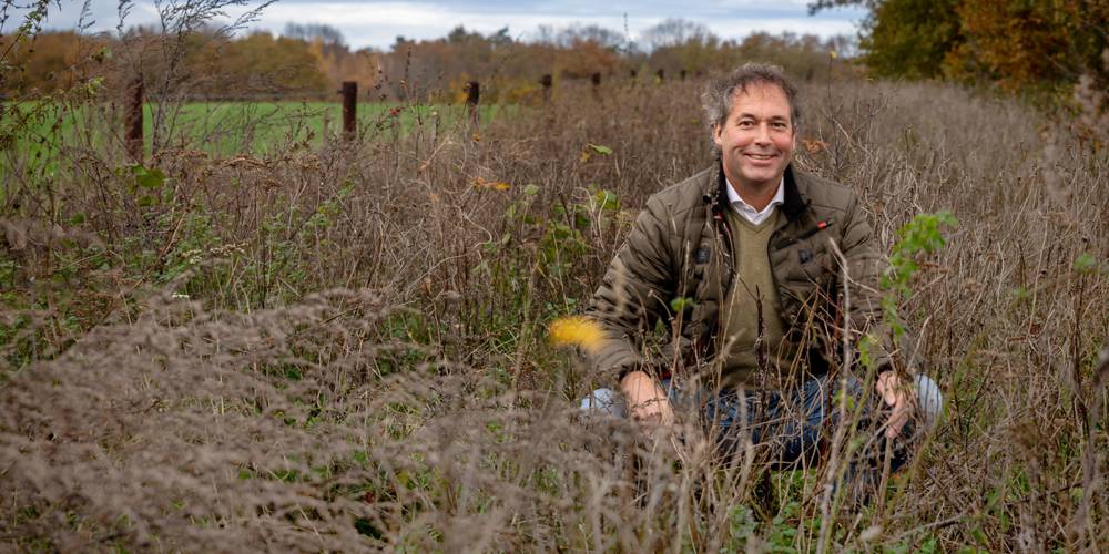 Man zit in een veld met hoge, droge planten in een herfstlandschap.