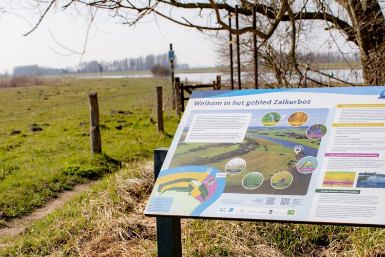 Officiële opening van nieuwe natuur Zalkerbos