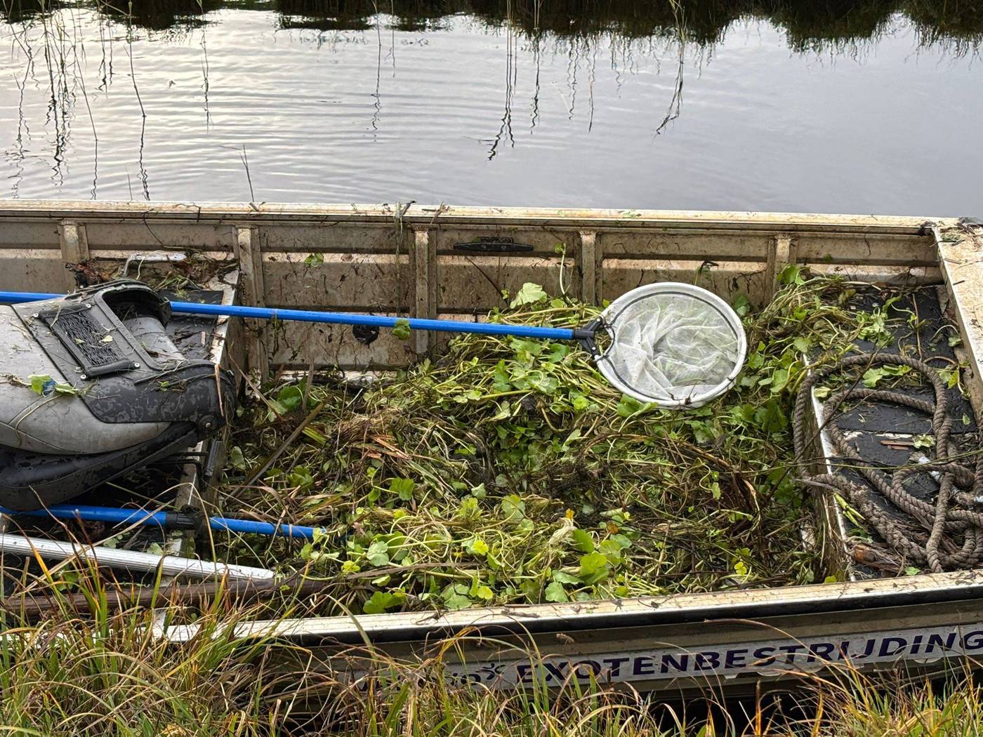 Door amfibievoertuig verwijderde planten