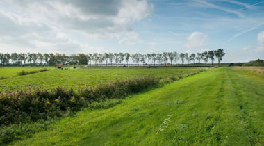 landschap water met sloot en rij bomen op achtergrond
