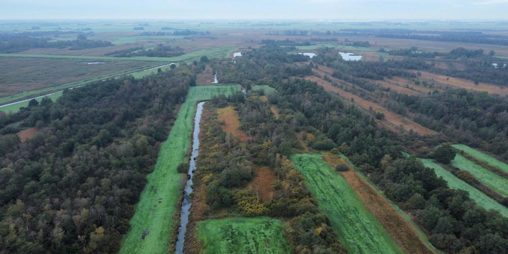 Foto van landschap