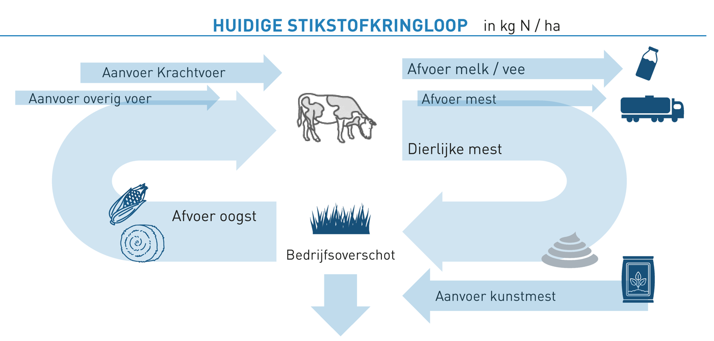 Huidige Stikstofkringloop Routekaart Stikstof infographic