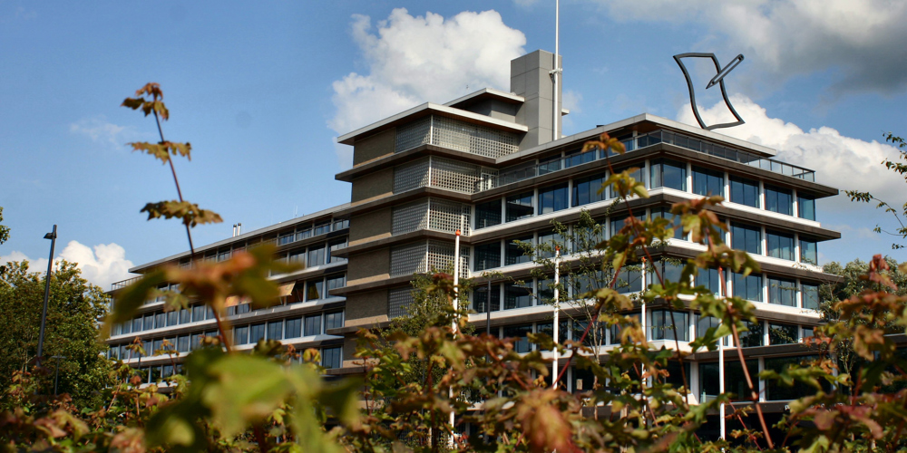 Foto van het provinciehuis tussen de bomen door