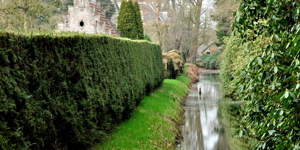 Rivier en struiken met gebouw erachter