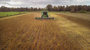 tractor in veld maait weiland
